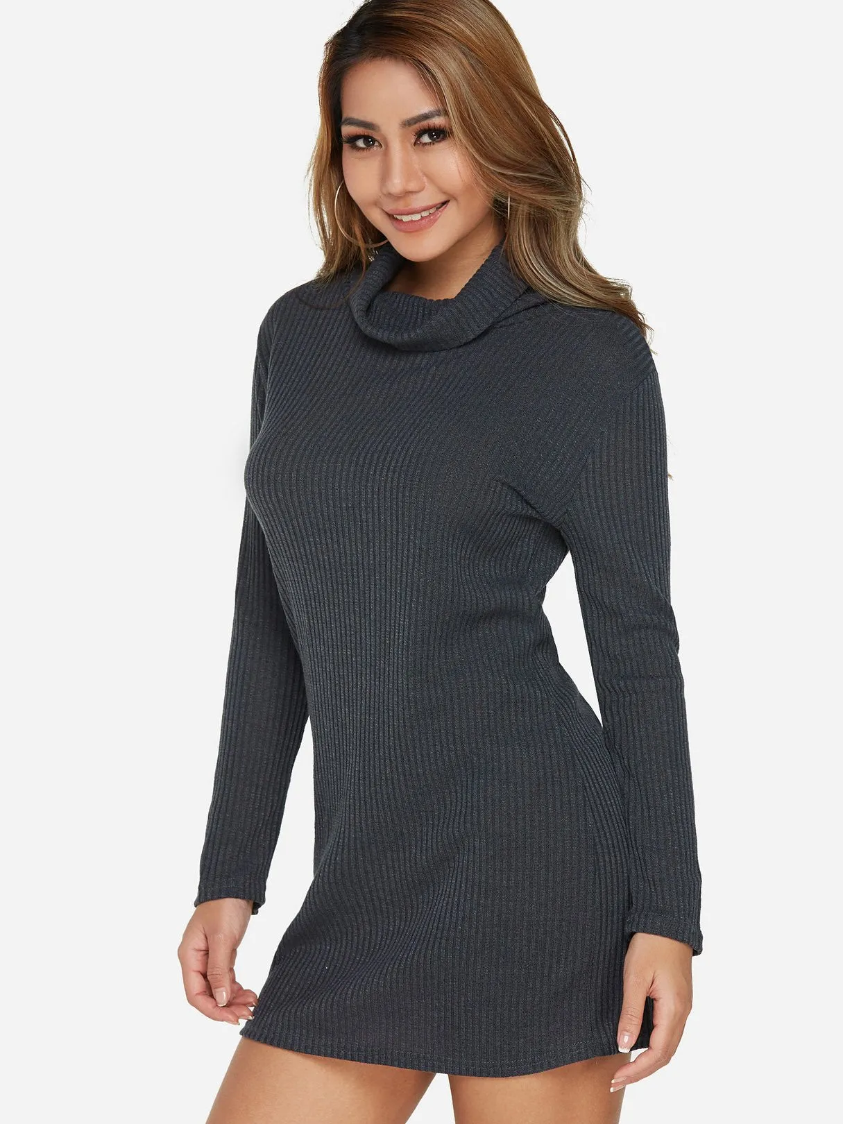 Wholesale Round Neck Long Sleeve Casual Dress